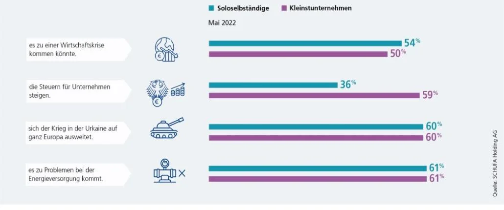 Grafik_Unternehmerbefragung_Sorgen der Unternehmen