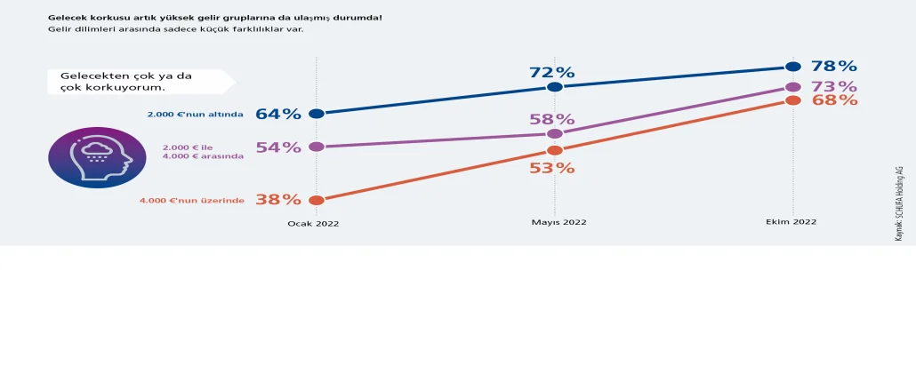 Grafik anket