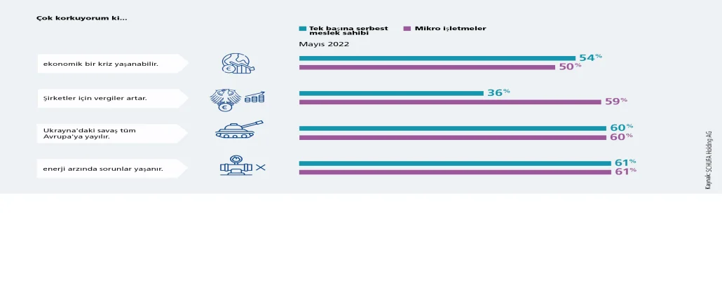 Graphic_Business_survey_company_concerns